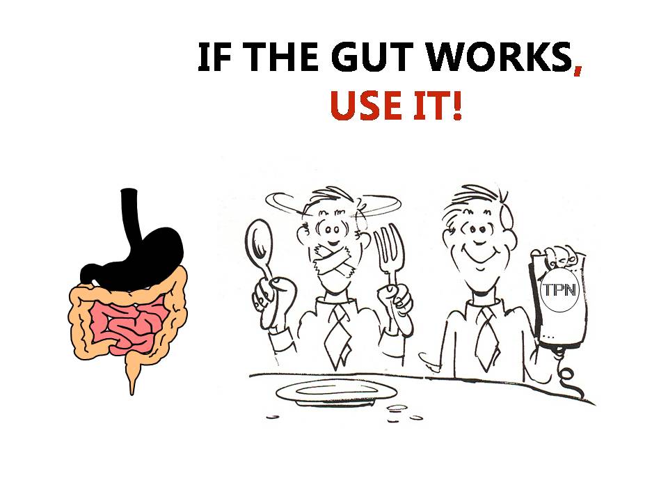 营养网课件胡阳,海安人民医院:危重患者营养支持实践