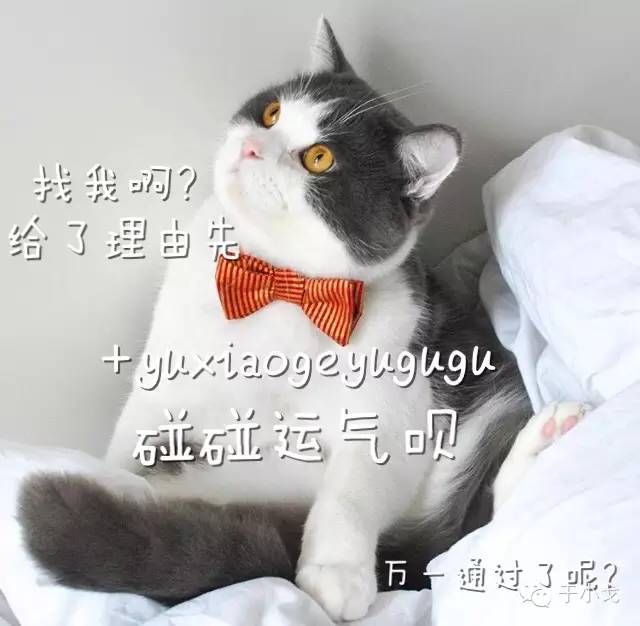 Cosmetic缇庡澶ц祻,cosmetic澶ц祻姒滃崟2023