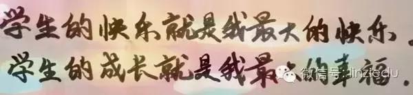 临淄中小学老师,临淄优秀教师2020