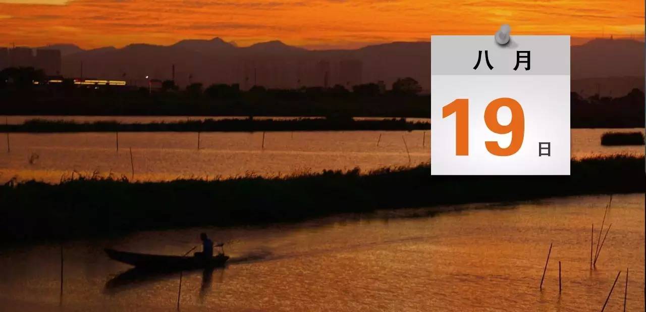 最新进展!黄圃小车坠河事件车主身份初步确定|速览