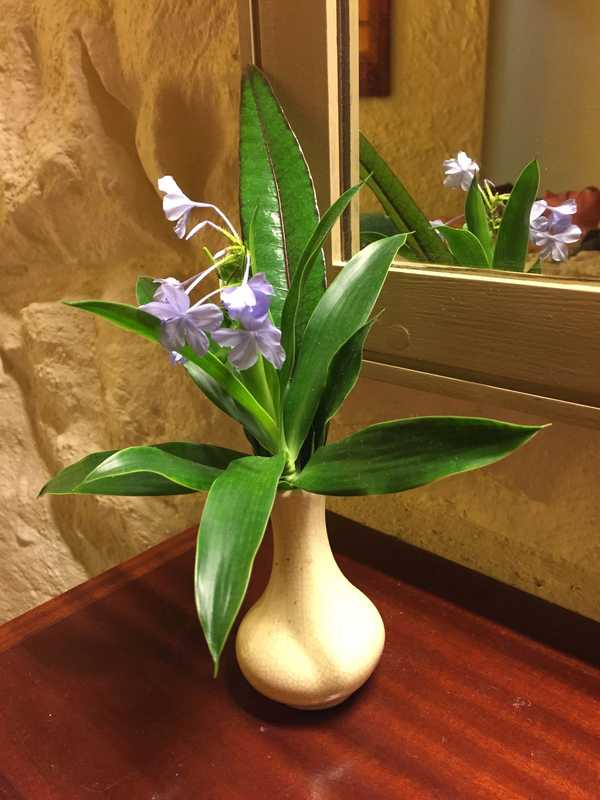 毛里求斯海之旅,毛里求斯惬意旅行