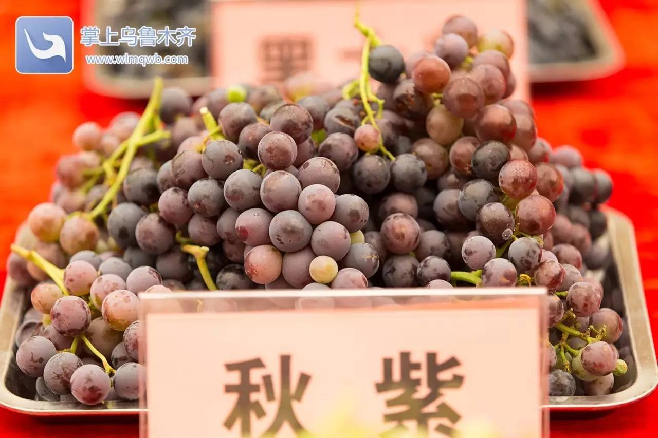 自带花香味的葡萄你吃过吗,吃葡萄不吐葡萄皮的葡萄怎么挑