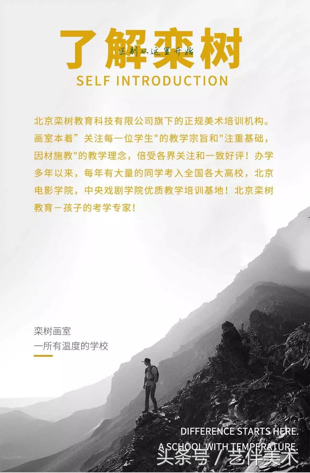 栾树画室口碑怎样,栾树画室地址在哪里