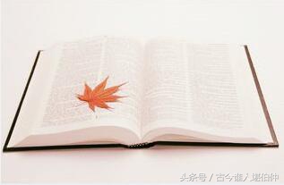 双十一必买10件商品图片,双十一必买五样东西