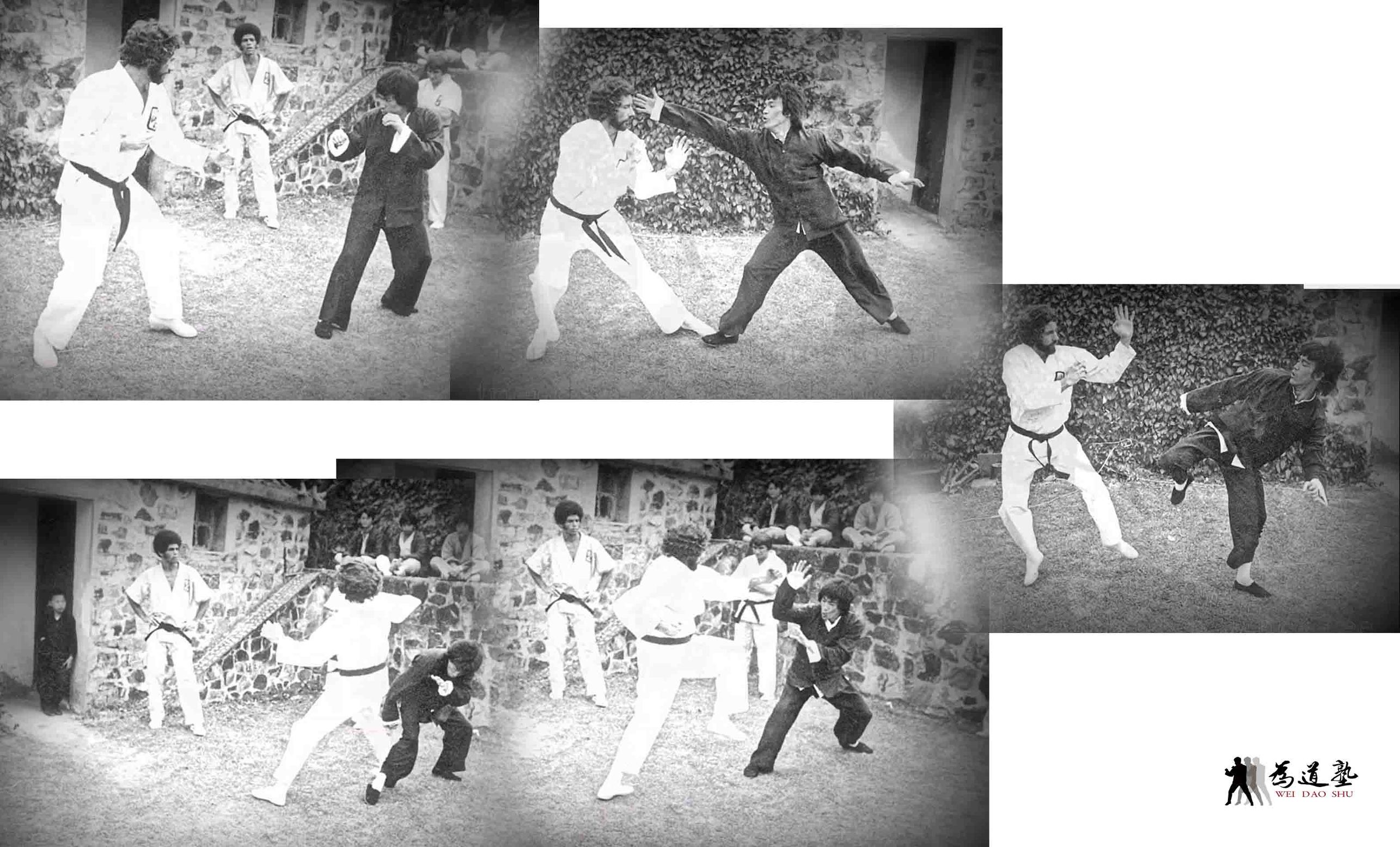 龙的传人武术指导,怎么搜李小龙的世界纪录