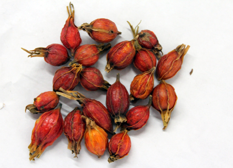 易怒烦躁肝火旺偏方,肝火旺盛心烦气躁吃什么中成药