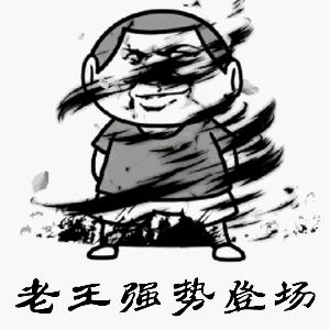 老王教你搞发明,老王整只鸡的做法大全