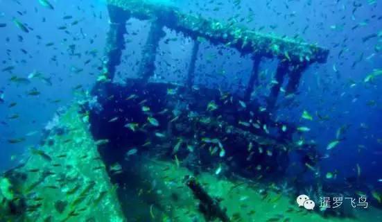 泰国沙美岛潜水有套路吗,泰国普吉岛潜水泳镜