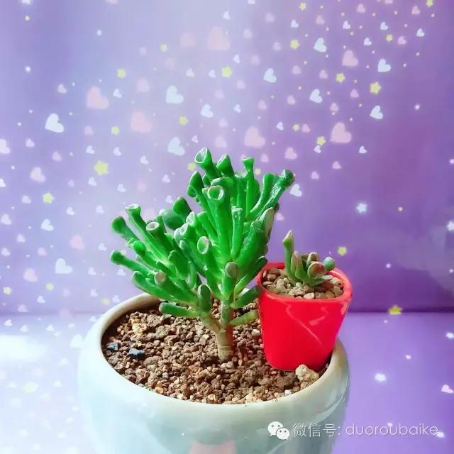 入坑就不能自拔,入坑后无法自拔