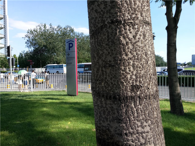 颠覆传统模块化大作:MotoZ上手评测