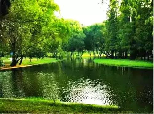 洛阳涧西区好玩的景点,洛阳35个免费景点