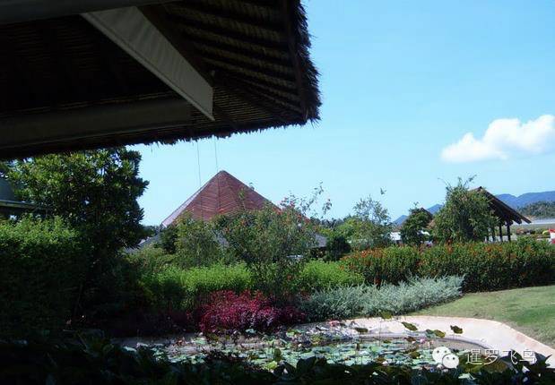 世界上最美的机场跑道,世界上最美的机场