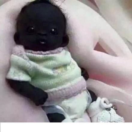 盘点萌死人不偿命的生物动图，看完也觉得自己萌萌哒