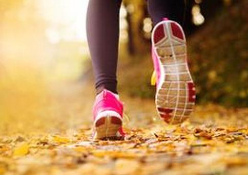 白露节气饮白露茶,暑退凉风起闲饮白露茶