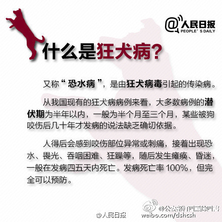 怎么知道狗携带有狂犬病毒,咋样知道有没有狂犬病发作