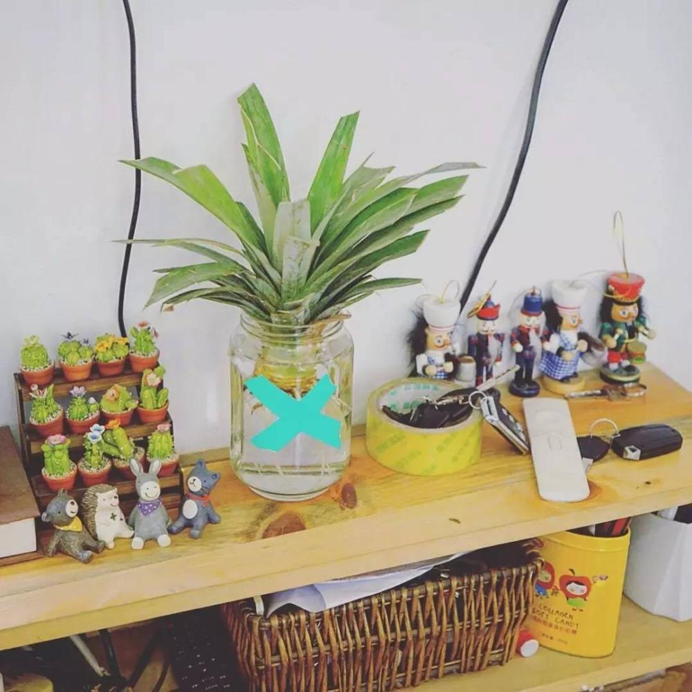 这位帅哥开着民宿却不好好做生意天南海北收藏好物分享给游客