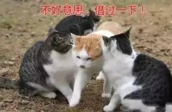 小学妹来来来，学长告诉你大学里千万不要错过这些“第一次”