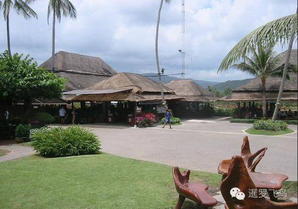 世界上最美的机场跑道,世界上最美的机场