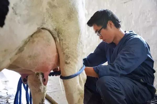 美国深泉学院怎么样,深泉学院的有趣和神奇之处