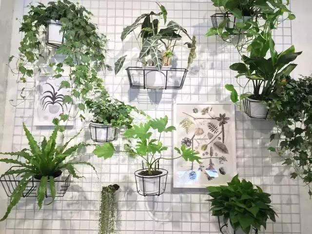 南宁网红潮店,南宁网红店打卡店