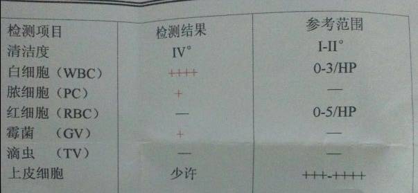 体检白带报告怎么看,体检白带常规怎么查