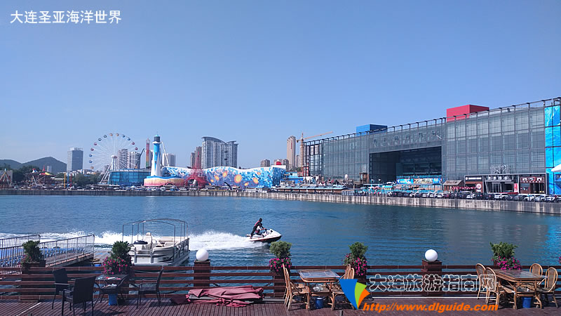 大王叫我来“巡街”：大连星海广场、星海公园、黑石礁