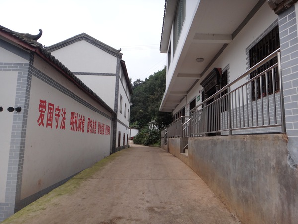 村环境卫生整治活动效果,竹园社区环境卫生整治