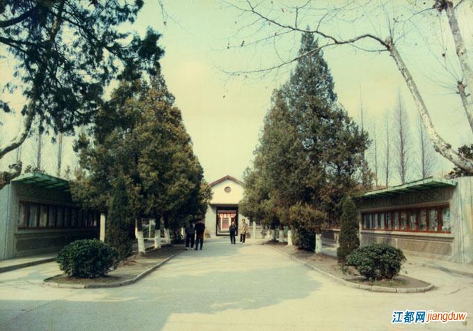 江都中学和大桥中学哪个好,那些年我们上过的历史课