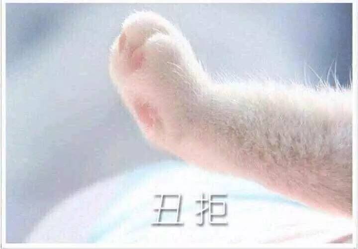 2016猴年春晚吉祥物,猴年春晚吉祥物