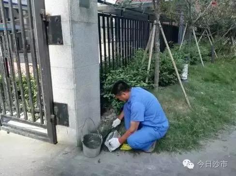 社区创卫工作快讯报道,10月份创卫工作简报