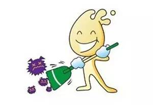 多吃发酵食品有何好处,发酵食品好处