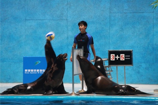 泉城海洋极地世界门票,泉城海洋极地世界儿童的收费标准