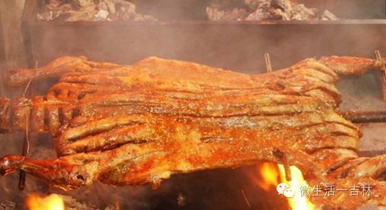 鍚夋灄甯傚幙鍖烘湁鍝簺,鍚夋灄甯傛湁鍝簺鍘垮尯