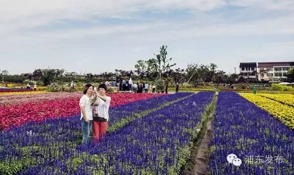 浦东的旅游攻略有哪些,浦东一日游免费景点有哪些