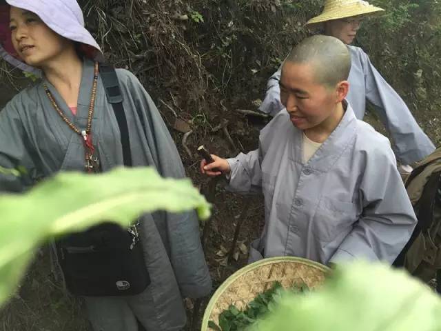 中国最后的神秘村,中国几大隐士隐居地方
