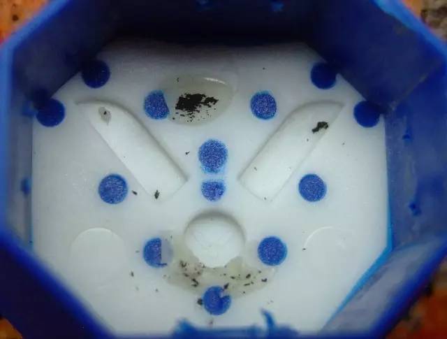 胜利羽毛球拍如何鉴别,如何辨别真正的羽毛球拍