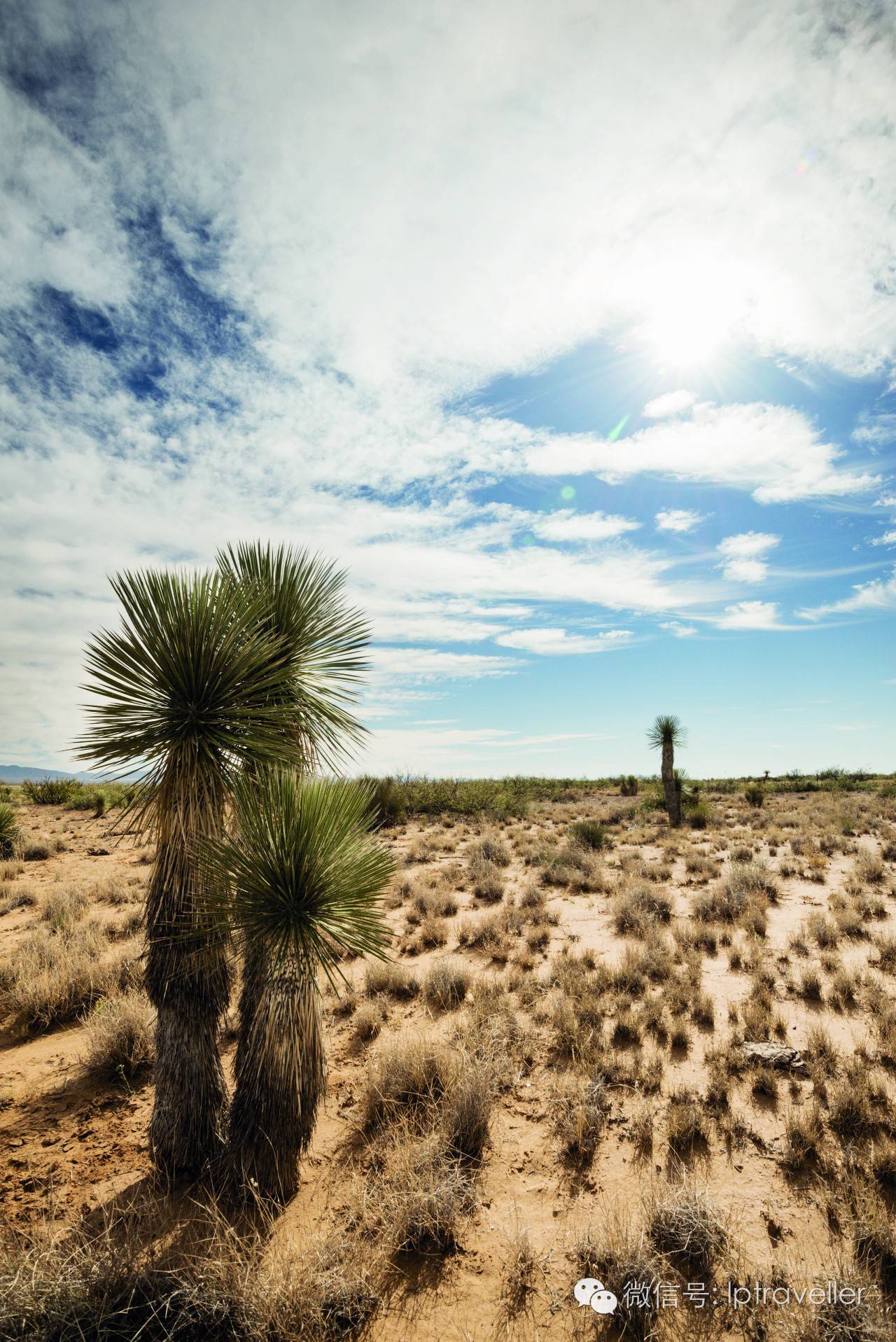 星球坐标|新墨西哥州:“外星人的栖身之所”探秘之旅