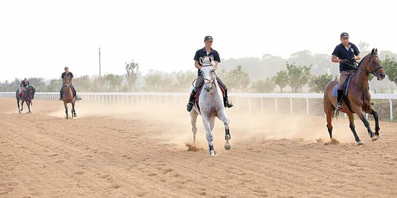 教育学最受欢迎的顶尖专业，居然都在北京体育大学