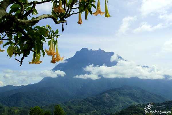 亚庇ow考试流程,亚庇ow多少钱