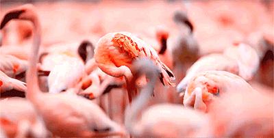 身价数十亿的他除了去无人区摄影，险些丧命，还用了6年时间和30多位石艺老匠人打造了一家不想挣钱的艺术馆