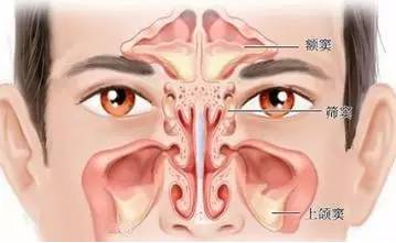 杭州看鼻炎的地方,杭州鼻炎在哪治