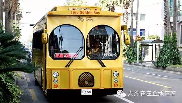 济州岛公交出行安排,济州岛怎么看公交车信息