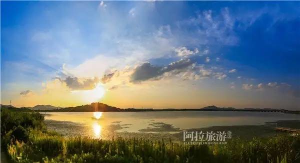 秋风起，宁波人纷纷赶去了这个“浙东第一蟹乡”！湖美螃蟹壮