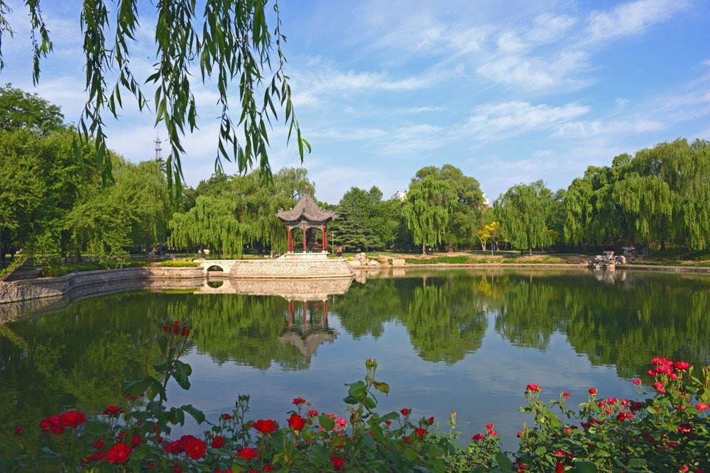 体育赛况直播,自行车赛邢台直播