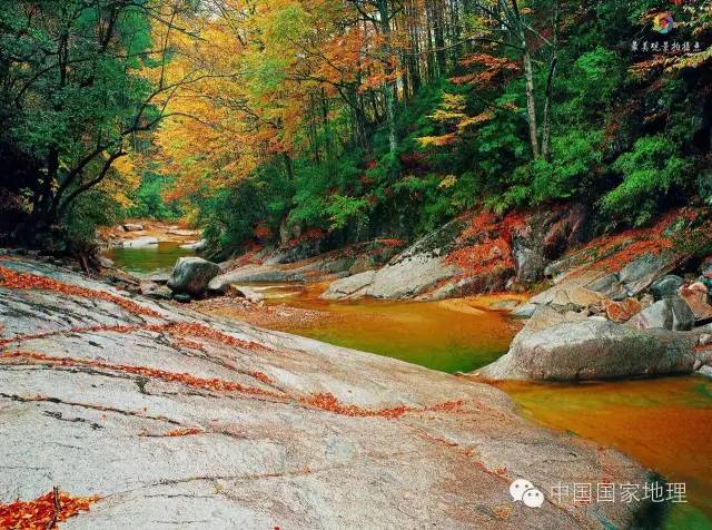 寻找一抹秋色,寻找不一样的质感