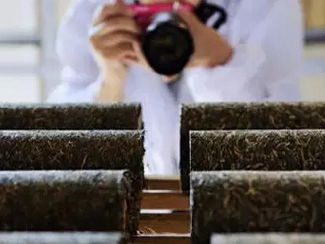 开学啦学英语,开学啦国学