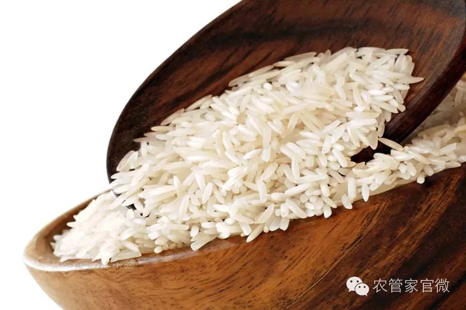 2023水稻价格会涨还是会跌,水稻粮食价格上涨