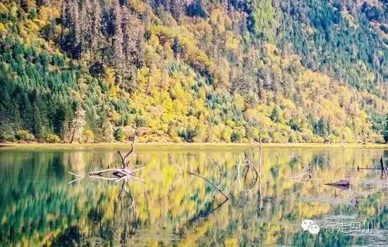 四川景点必去十大景点五月,四川5-6月最美的地方