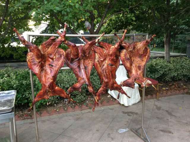 温泉县城投,梁河城投温泉