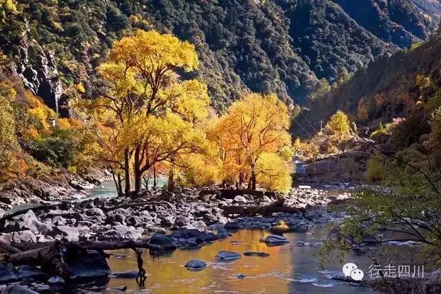 四川景点必去十大景点五月,四川5-6月最美的地方